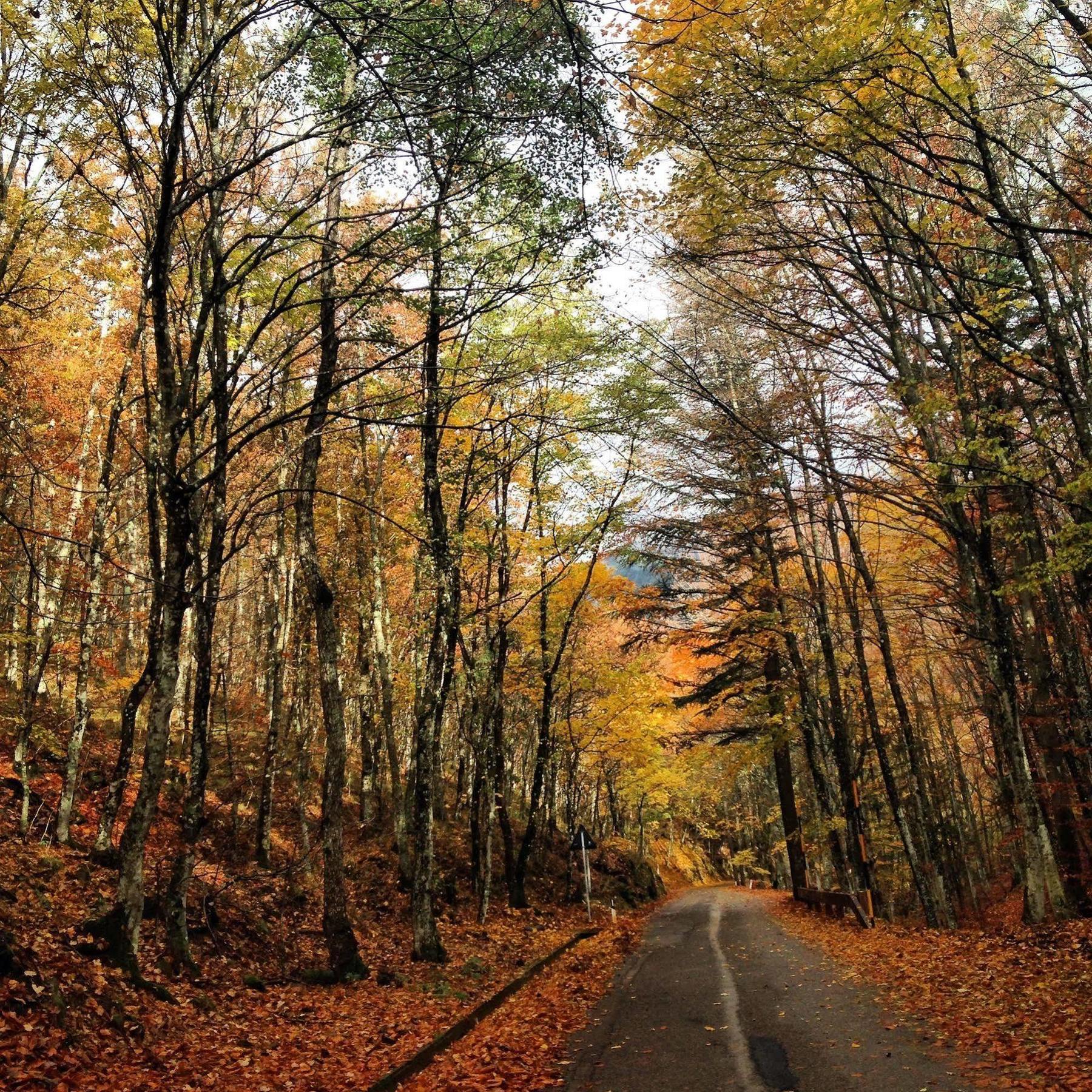 Locanda Dei Baroni - Antica Dimora Камальдоли Экстерьер фото